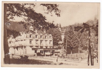 AMS - ILUSTRATA 1332, SOVATA - VEDERE, cu perforari foto