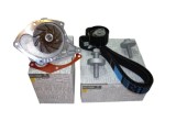 Pachet revizie Dacia Logan 1.5 DCI 7701477028 | 7701478031