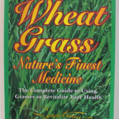 WHEAT GRASS , NATURE 'S FINEST MEDICINE by STEVE MEYEROWITZ , 1999