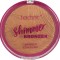 Pudra bronzanta iluminatoare Technic Shimmer Bronzer