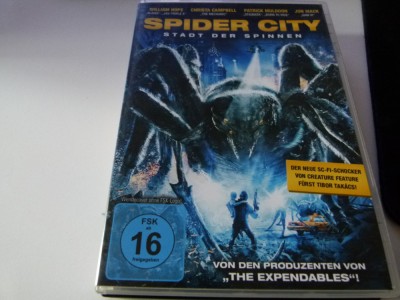Spider city foto