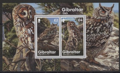 Gibraltar, 2020,pasari, bufnite, nominal 6 lire, pret cca. 40% din nominal foto