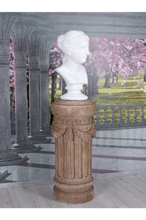 Bustul zeitei Venus YAC034
