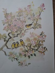 Litografie color,Cinteze in cires,semnata in placa Mads Stage,40x30,5cm(vezi foto/descriere)