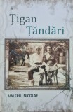 Tigan tandari &ndash; Valeriu Nicolae