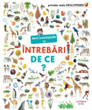 Mică enciclopedie cu &icirc;ntrebări. De ce? - Paperback brosat - Sophie Lamoureux - Litera mică