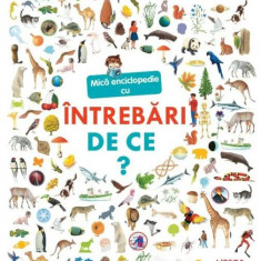 Mică enciclopedie cu întrebări. De ce? - Paperback brosat - Sophie Lamoureux - Litera mică