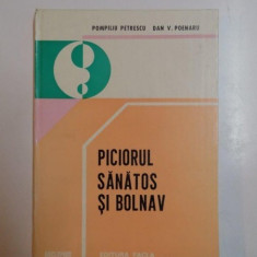 PICIORUL SANATOS SI BOLNAV de POMPILIU PETRESCU , DAN V. POENARU, 1982