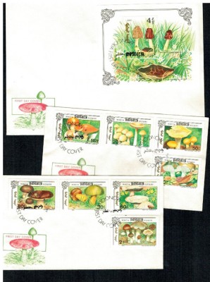 Mongolia 1991 - Ciuperci, serie si colita FDC foto