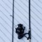 SET Lanseta carbon PROFL FLX9 Carp 3,90M 3,75Lbs SI Mulineta GH10000 Long Cast 0,30mm/650m