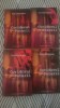 Ion Lăncrănjan - Coridorul puterii (4 volume)