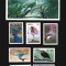liberia pasari mnh