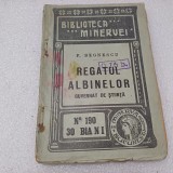 F.BEGNESCU- REGATUL ALBINELOR-1915 R1