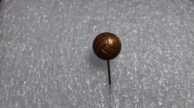 insigna Minge Fotbal foto