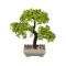 Ghiveci decorativ cu Bonsai artificial, 22 cm, ATU-087431
