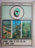 Legume, pomi si vita de vie pe langa casa &ndash; T. Groza, M. Voinea, V. Lazarescu