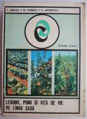 Legume, pomi si vita de vie pe langa casa &ndash; T. Groza, M. Voinea, V. Lazarescu