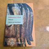 SIDDHARTHA. CALATORIA SPRE SOARE-RASARE - HERMANN HESSE