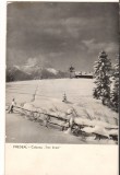 CPIB 22120 - CARTE POSTALA - PREDEAL. CABANA TREI BRAZI, RPR