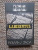 FRANCISC PACURARIU - LABIRINTUL