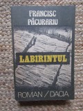 FRANCISC PACURARIU - LABIRINTUL