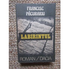 FRANCISC PACURARIU - LABIRINTUL