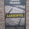 FRANCISC PACURARIU - LABIRINTUL