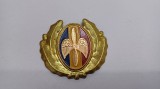 Emblema coifura/Insigna/Cuc cascheta-Aviatie