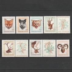 Tr&oacute;fe&aacute;k (Trofee de Vanatoare) LP2291-2299 1966