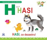 H de la Hasi - Necartonata, DPH