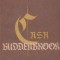 Casa Buddenbrook, Volumul al II - lea, Declinul unei familii