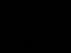 Raparatii centrale termice