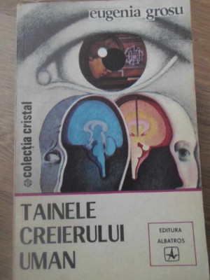 TAINELE CREIERULUI UMAN-EUGENIA GROSU foto