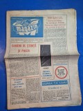 ziarul magazin 5 septembrie 1981