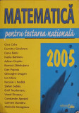 MATEMATICA PENTRU TESTAREA NATIONALA 2005-G. CIBA, D. SAVULESCU SI COLAB.