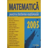 MATEMATICA PENTRU TESTAREA NATIONALA 2005-G. CIBA, D. SAVULESCU SI COLAB.-314959
