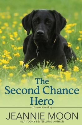 The Second Chance Hero foto