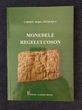 Monedele regelui Coson &ndash; Carmen Maria Petolescu