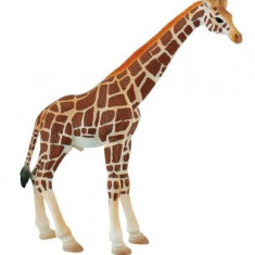 Girafa mascul - Figurina pentru copii