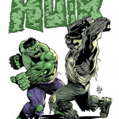 Incredible Hulk by Peter David Omnibus Vol. 5