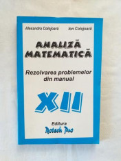 A. Colojoara I. Colojoara - Analiza matematica - rezolvarea problemelor din manual - clasa a XII-a foto