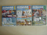 BERNARD SHOW - LOT 3 DVD-uri ( desene animate ), Romana