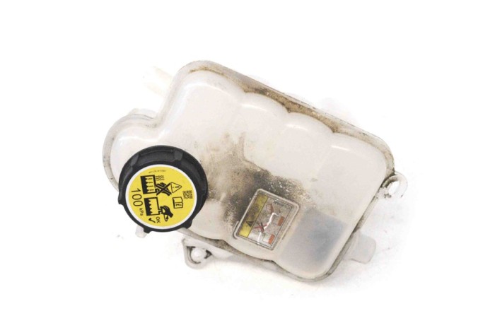 Vas de expansiune JAGUAR I-PACE X590 2019 OEM: J9D3-8A080-BD 15396727