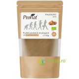 Pudra Proteica din Samburi de Nuca Ecologica/Bio 150g