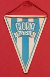 Fanion fotbal - &quot;GLORIA&quot; BISTRITA