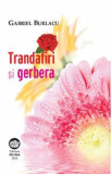 Trandafiri si Gerbera - Gabriel Burlacu