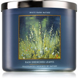 Cumpara ieftin Bath &amp; Body Works Rain Drenched Leaves lum&acirc;nare parfumată 411 g