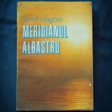Meridianul Albastru - Viorel Salagean - Roman - Beletristica