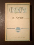 N. G. Cern&icirc;șevski - Ce-i de făcut? (ediția a III-a, 1963)