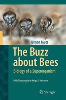 The Buzz about Bees: Biology of a Superorganism foto